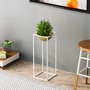 Aberto Design Maceta Decorativa GED-021-C Blanco y Dorado